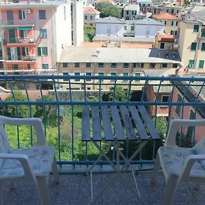 Sunflower , Levanto Italie